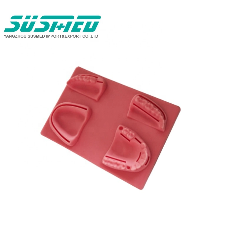 Dental Teeth Model Surgical Suture Practice Pad Suture Pad