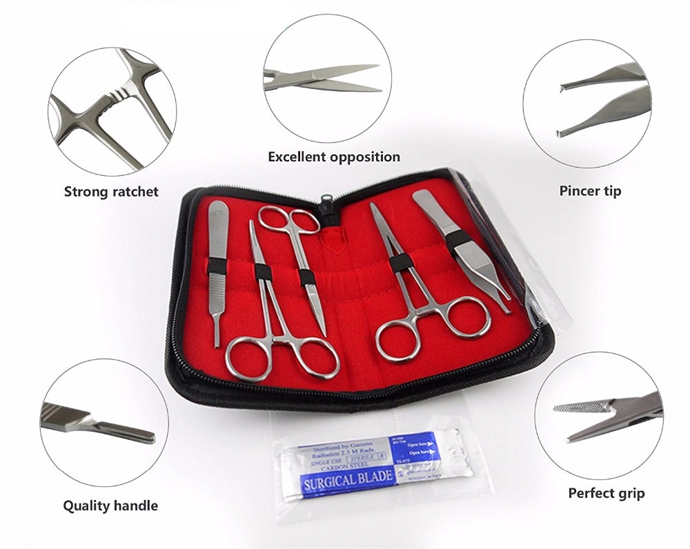 10 Pieces Stainless Steel Surgical Instruments Veterinary Suture Practice Kit