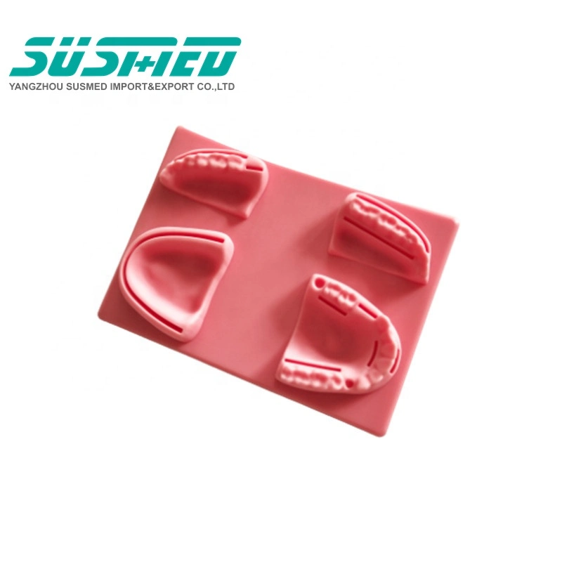 Dental Teeth Model Surgical Suture Practice Pad Suture Pad